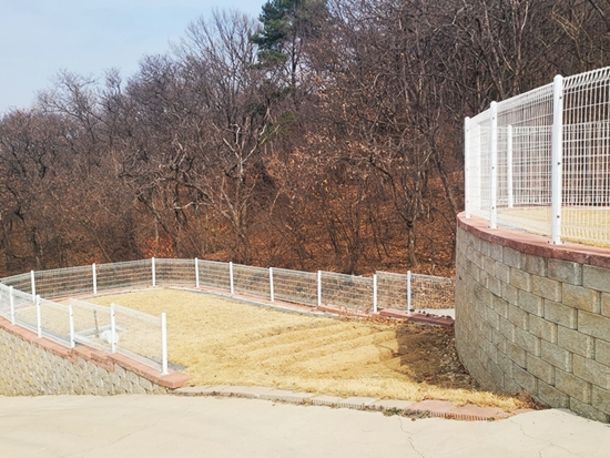 20250326_141003.jpg