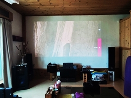20250415_114201.jpg