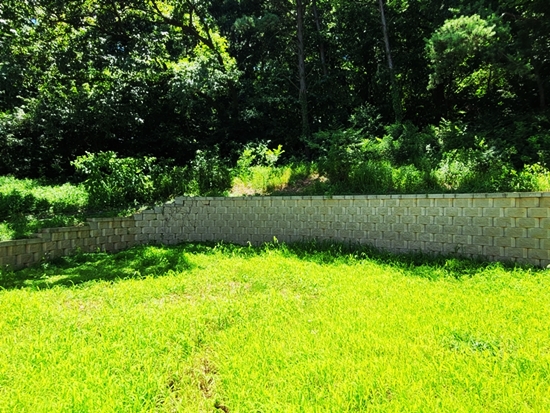 20250711_131927.jpg