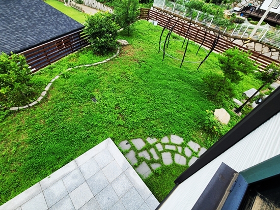 20250715_102108.jpg