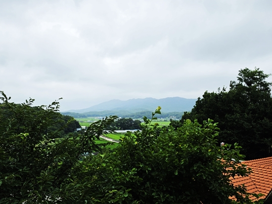 블로그블로그20260710_150615.jpg