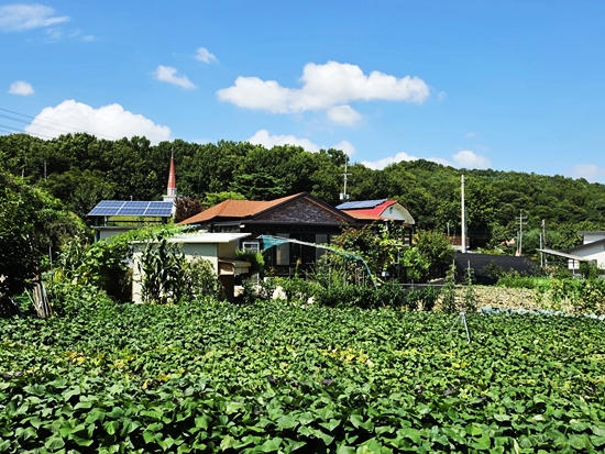 블로그블로그20260713_142605.jpg